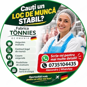 Lon de munca Abator Germania 