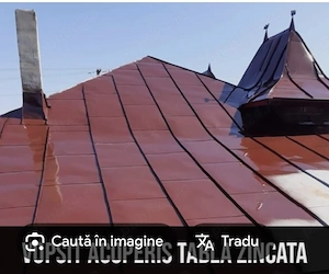 vopsitor de tablă ruginită 