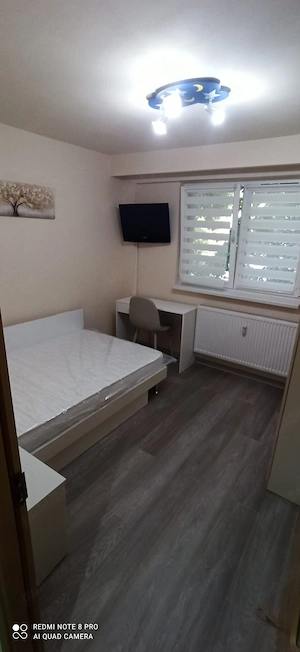 Berceni Luica-Brancoveanu 