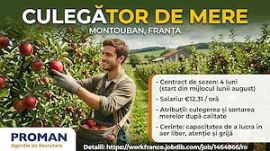 Este nevoie de cupluri la  pere 