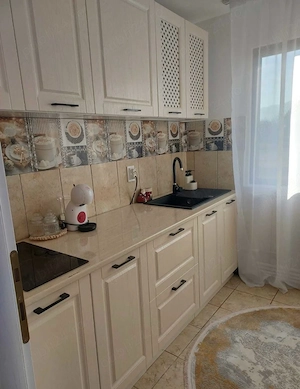 Vand casa vacanta Bucsoaia-Frasin - imagine 4