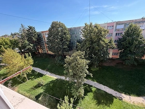 Apartament 2 camere de închiriat, 55 mp, zona Brazda lui Novac, BIG FAMILY - imagine 12