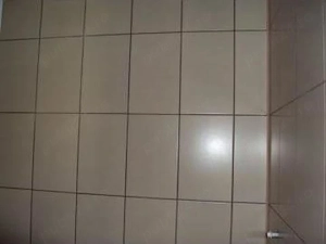 Constructii montat gresie faianta zugravit plinta Bacau 100 lei zi de lucru