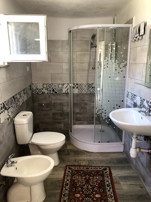 Vand casa cu teren in Recas. - imagine 10