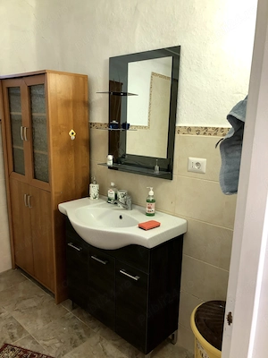Vand casa cu teren in Recas. - imagine 9