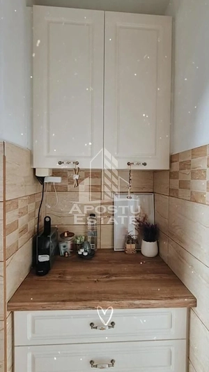 Apartament 2 camere de inchiriat, Centrala proprie, Sagului, Timis - imagine 9