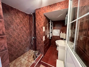 Inchiriez casa zona Parcul Reconcilierii -Rusu Sirianu ID:RH-43866-property - imagine 11
