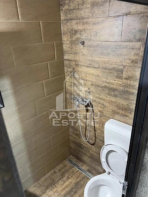 Apartament 1 camera de inchiriat, Dambovita, Timis - imagine 4