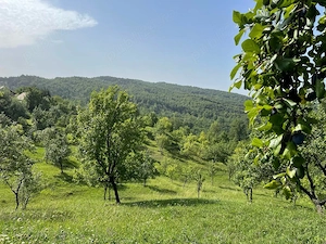 Casă cu teren intravilan generos, o proprietate cu multiple posibilități - imagine 6