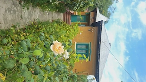 Vand Casa si Teren de 3600 mp. Jud Gorj. Sat Barbatesti