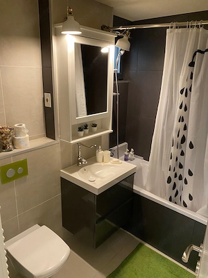 De inchiriat apartament 2 Camere in Calea Torontalului - imagine 7