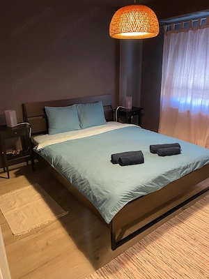 De inchiriat apartament 2 Camere in Calea Torontalului - imagine 5