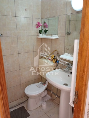 Garsoniera de vanzare, etaj 4, zona Dacia, Timisoara - imagine 4