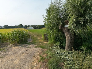 Vând teren intravilan în Răucești de Jos, Jud.Neamt - imagine 7