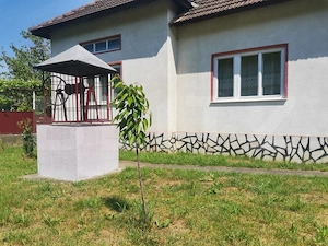 Două case, garaj și 1.370 mp de teren, amplasată la DN, în Lesnic - imagine 2