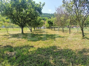 Două case, garaj și 1.370 mp de teren, amplasată la DN, în Lesnic - imagine 12