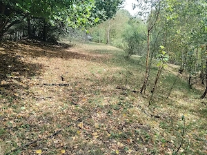 Teren de vanzare