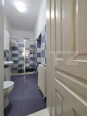 Casa istorica, 2 apartamnte, curte proprie- posibilitati multiple, zona Balcescu - imagine 7
