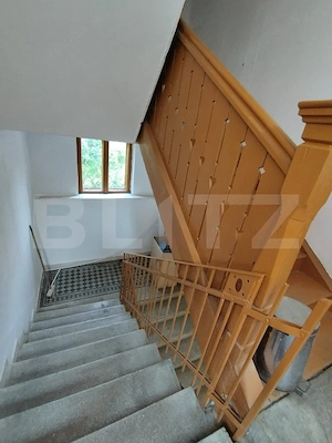 Casa istorica, 2 apartamnte, curte proprie- posibilitati multiple, zona Balcescu - imagine 15