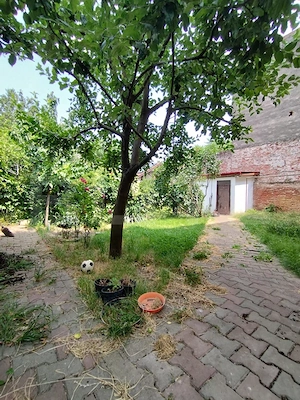 Casa istorica, 2 apartamnte, curte proprie- posibilitati multiple, zona Balcescu - imagine 20