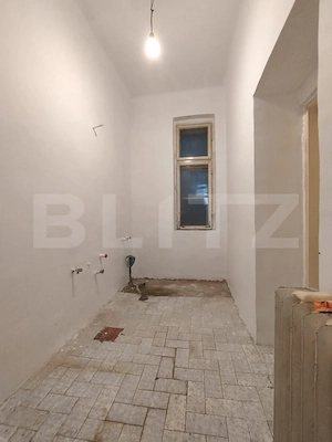 Casa istorica, 2 apartamnte, curte proprie- posibilitati multiple, zona Balcescu - imagine 14