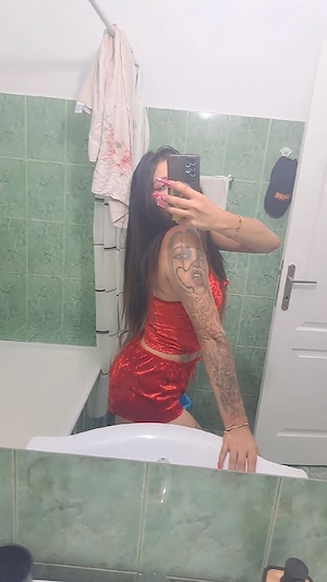 servicii full