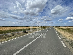 Teren 55.000 mp, front stradal 354 ml, asfalt, Remetea Mare -Ianova. - imagine 2