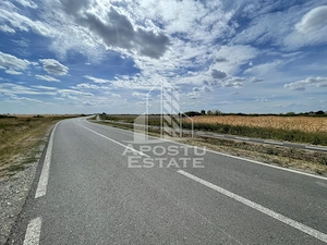 Teren 55.000 mp, front stradal 354 ml, asfalt, Remetea Mare -Ianova. - imagine 3