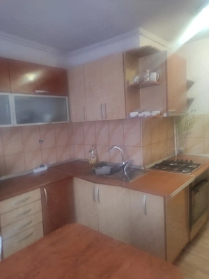 Ap  2 camere sdec etj 2 str Eminescu - imagine 8