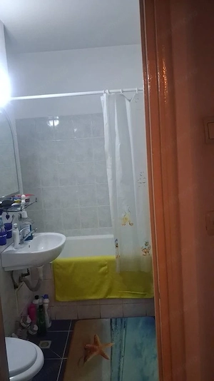 Vanzare apartament 3 camere  63 mp, balcon 9,8 mp, etaj 4/10 – Râul Doamnei - imagine 7