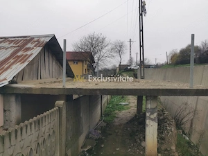 De vanzare casa in Argetoaia cu teren 7.000 mp - imagine 3