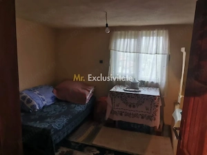 De vanzare casa in Argetoaia cu teren 7.000 mp - imagine 9