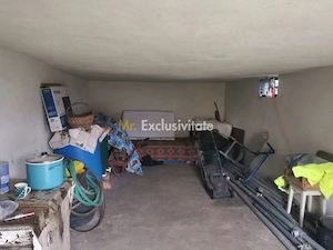 De vanzare casa in Argetoaia cu teren 7.000 mp - imagine 11