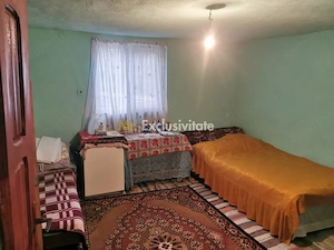 De vanzare casa in Argetoaia cu teren 7.000 mp - imagine 10