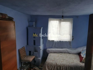 De vanzare casa in Argetoaia cu teren 7.000 mp - imagine 8
