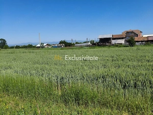 Teren 10.294 mp de vânzare Târgu Jiu | Intravilan + Extravilan | Utilități - imagine 4