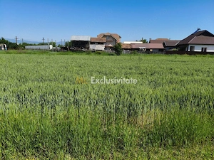 Teren 10.294 mp de vânzare Târgu Jiu | Intravilan + Extravilan | Utilități - imagine 5
