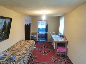De vanzare casa in Argetoaia cu teren 7.000 mp - imagine 7