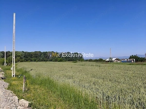 Teren 10.294 mp de vânzare Târgu Jiu | Intravilan + Extravilan | Utilități - imagine 3