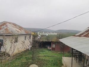 De vanzare casa in Argetoaia cu teren 7.000 mp - imagine 4