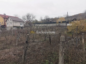 De vanzare casa in Argetoaia cu teren 7.000 mp - imagine 6