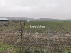 De vanzare casa in Argetoaia cu teren 7.000 mp - imagine 5
