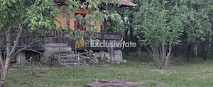 Casă cu 7.769 mp teren și pădure | Budieni | 53.000€ - imagine 6