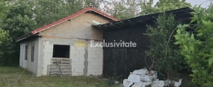 Casă cu 7.769 mp teren și pădure | Budieni | 53.000€ - imagine 9