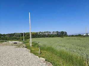 Teren 10.294 mp de vânzare Târgu Jiu | Intravilan + Extravilan | Utilități - imagine 6