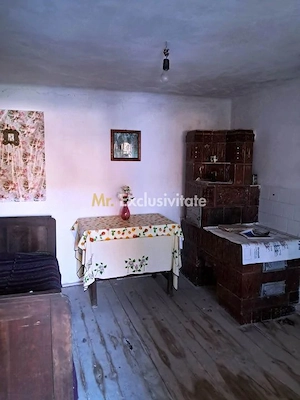 Casă și teren de vânzare Polovragi - Racovița - imagine 8