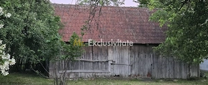Casă cu 7.769 mp teren și pădure | Budieni | 53.000€ - imagine 11
