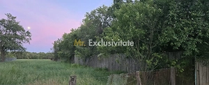 Casă cu 7.769 mp teren și pădure | Budieni | 53.000€ - imagine 4