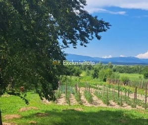 Proprietate cu potențial turistic și agricol | 7.661 mp|Șomanești-GORJ - imagine 3