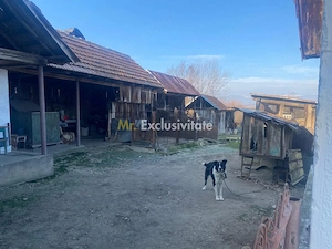 Proprietate cu potențial turistic și agricol | 7.661 mp|Șomanești-GORJ - imagine 8